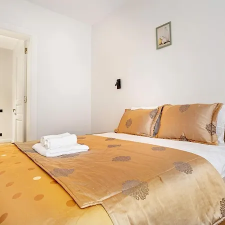 A Modernized In The Historic Area Of Apartment