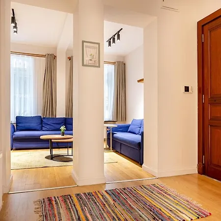 A Modernized In The Historic Area Of Apartment *